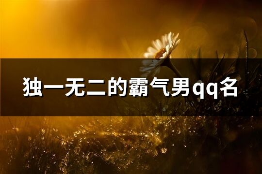 独一无二的霸气男qq名(优选503个)