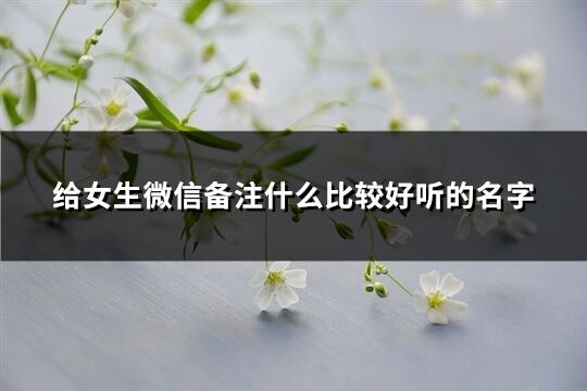 给女生微信备注什么比较好听的名字(优选208个)