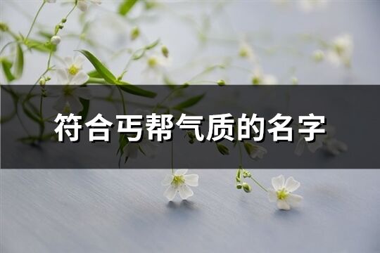 符合丐帮气质的名字(优选83个)