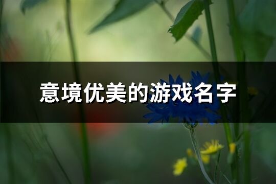 意境优美的游戏名字(共548个)