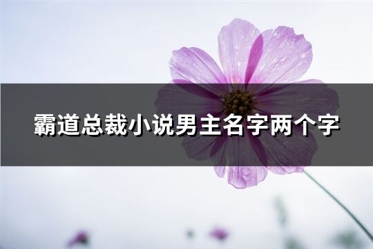 霸道总裁小说男主名字两个字(53个)