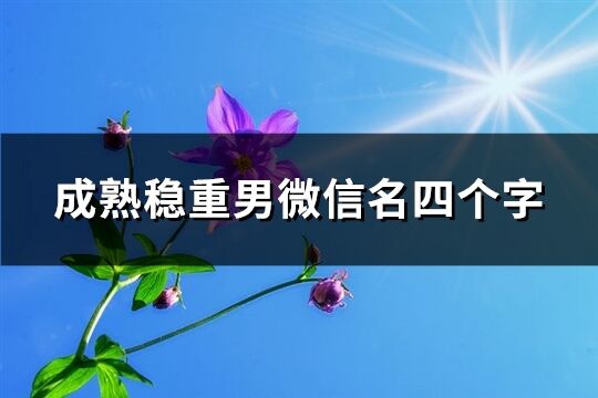 成熟稳重男微信名四个字(319个)