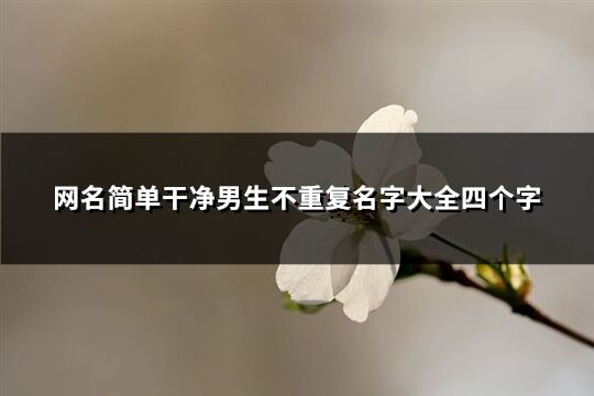 网名简单干净男生不重复名字大全四个字(共453个)