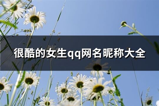 很酷的女生qq网名昵称大全(优选222个)