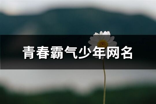 青春霸气少年网名(优选99个)