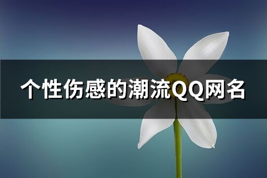 个性伤感的潮流QQ网名(精选440个)