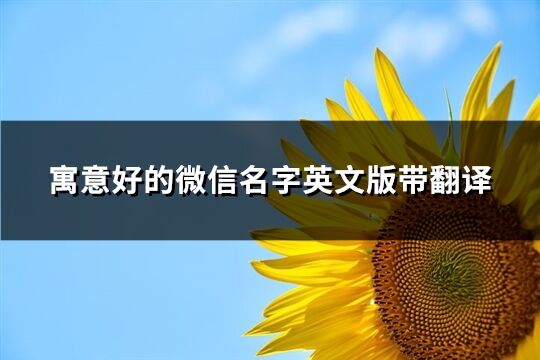 寓意好的微信名字英文版带翻译(60个)