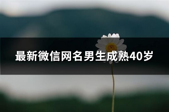 最新微信网名男生成熟40岁(优选67个)