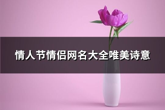 情人节情侣网名大全唯美诗意(优选46个)