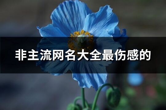 非主流网名大全最伤感的(109个)