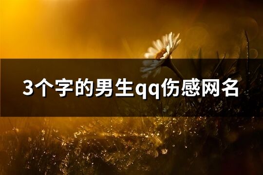 3个字的男生qq伤感网名(57个)