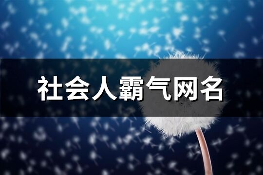 社会人霸气网名(优选166个)