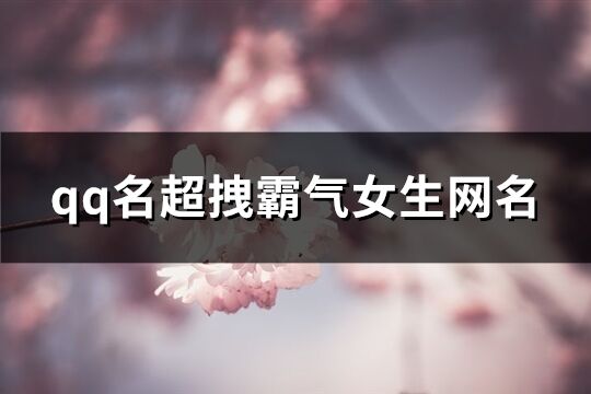 qq名超拽霸气女生网名(优选161个)