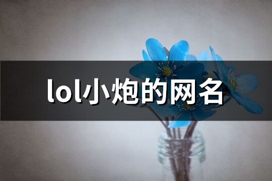 lol小炮的网名(优选64个)