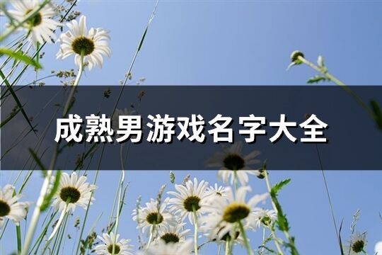 成熟男游戏名字大全(459个)