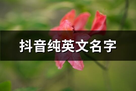 抖音纯英文名字(精选68个)