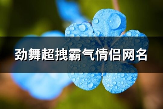 劲舞超拽霸气情侣网名(110个)