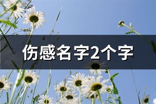 伤感名字2个字(精选798个)