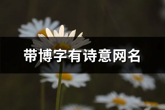 带博字有诗意网名(共74个)