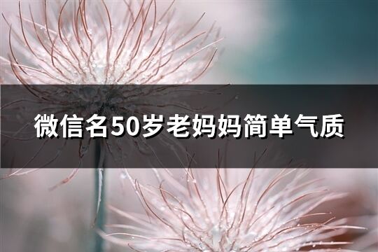 微信名50岁老妈妈简单气质(优选1062个)