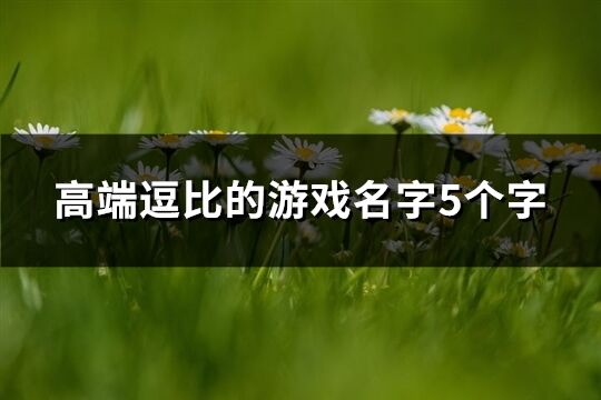 高端逗比的游戏名字5个字(优选282个)