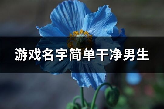 游戏名字简单干净男生(164个)