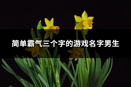 简单霸气三个字的游戏名字男生(共223个)