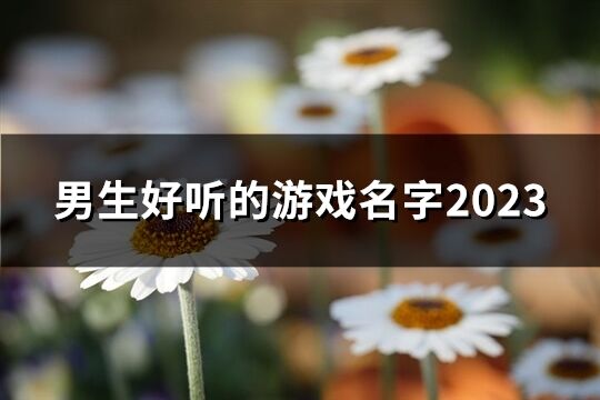 男生好听的游戏名字2023(共39个)