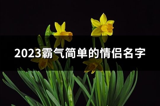 2023霸气简单的情侣名字(优选190个)