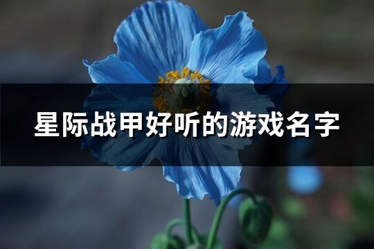 星际战甲好听的游戏名字(优选231个)