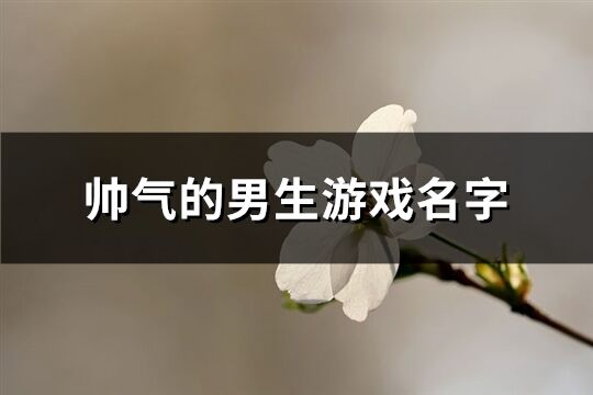 帅气的男生游戏名字(优选331个)