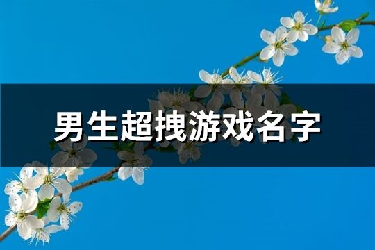 男生超拽游戏名字(520个)