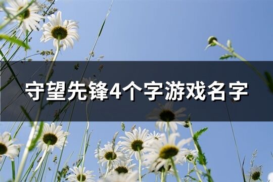 守望先锋4个字游戏名字(精选415个)