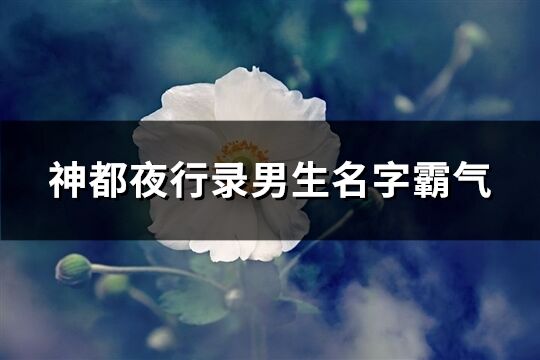 神都夜行录男生名字霸气(共254个)