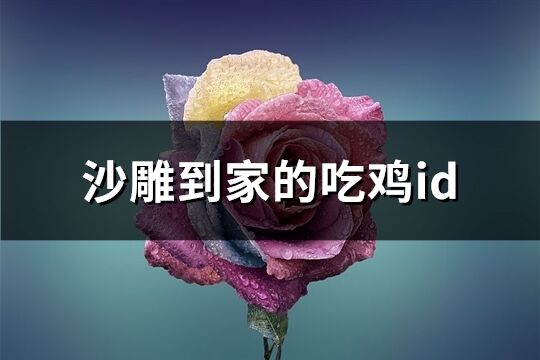 沙雕到家的吃鸡id(优选272个)