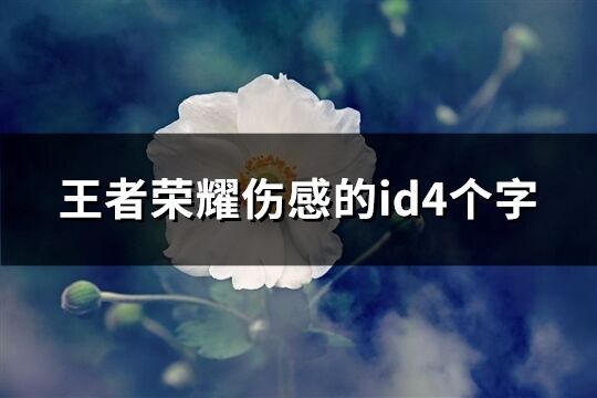 王者荣耀伤感的id4个字(552个)