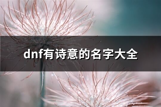 dnf有诗意的名字大全(优选307个)