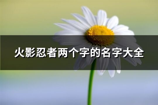 火影忍者两个字的名字大全(精选534个)