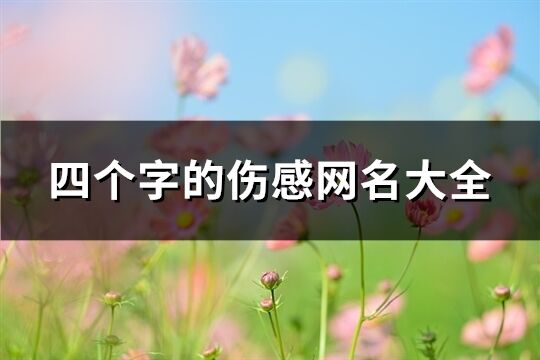 四个字的伤感网名大全(2403个)