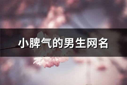 小脾气的男生网名(421个)