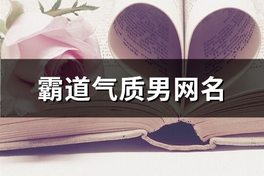 霸道气质男网名(737个)