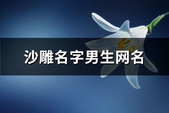 沙雕名字男生网名(784个)