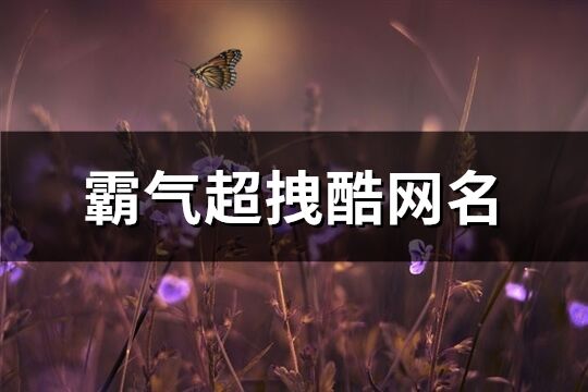 霸气超拽酷网名(241个)