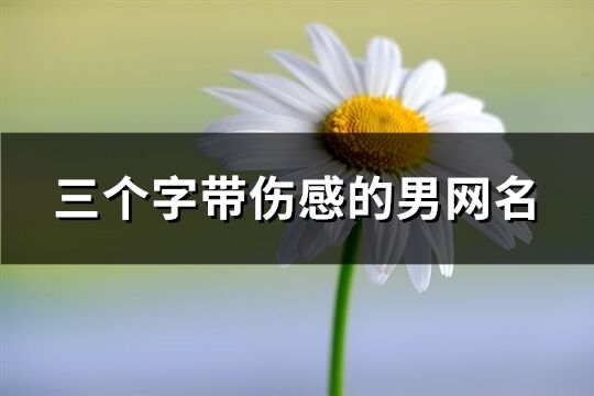 三个字带伤感的男网名(647个)