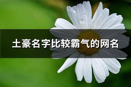 土豪名字比较霸气的网名(精选82个)