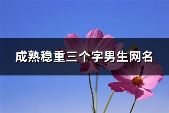 成熟稳重三个字男生网名(共553个)