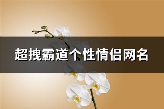 超拽霸道个性情侣网名(共222个)