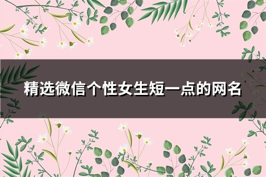 精选微信个性女生短一点的网名(443个)