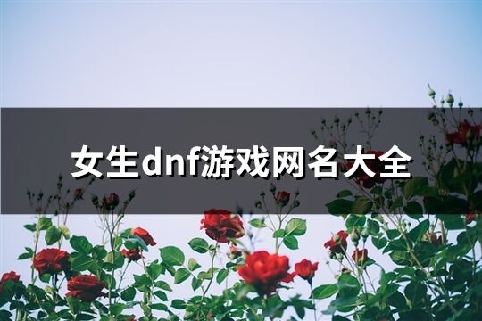 女生dnf游戏网名大全(281个)