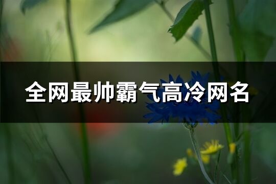 全网最帅霸气高冷网名(665个)